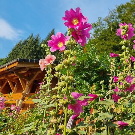 Chalet Arpitan - Les Carroz - Grand Massif Buitenkant foto