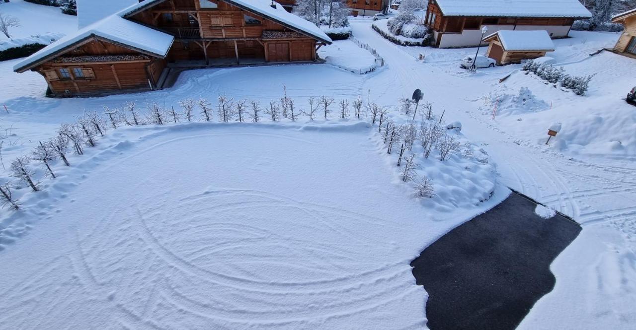 Chalet Arpitan - Les Carroz - Grand Massif Buitenkant foto