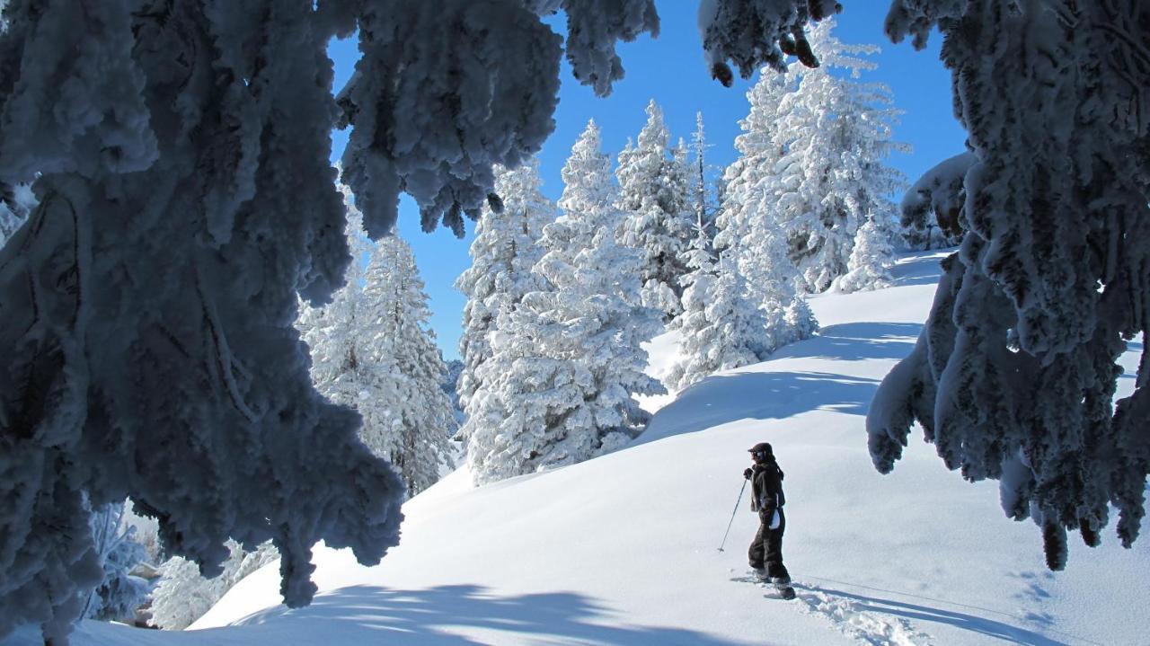 Chalet Arpitan - Les Carroz - Grand Massif Buitenkant foto