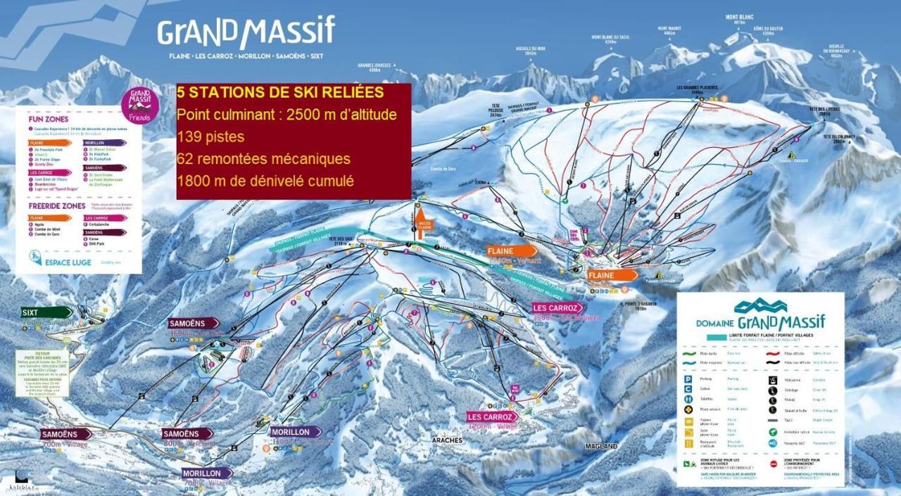 Chalet Arpitan - Les Carroz - Grand Massif Buitenkant foto