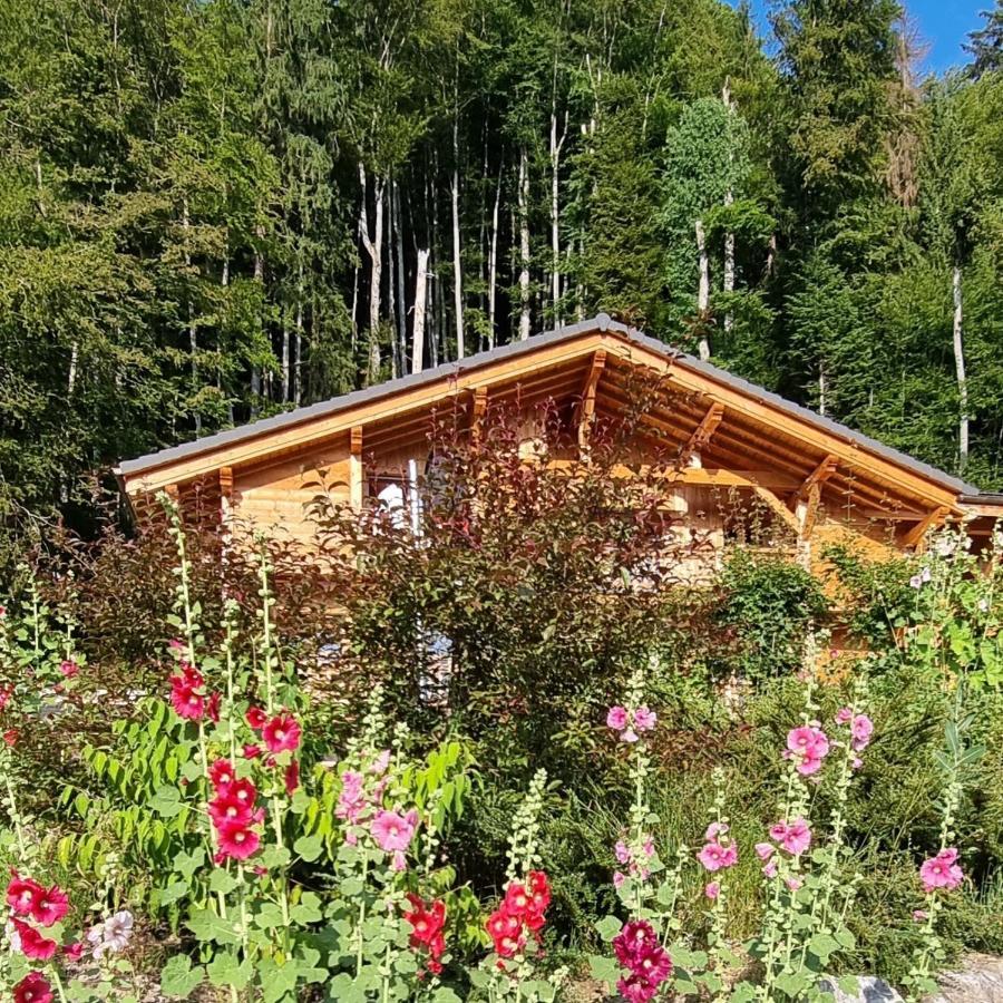 Chalet Arpitan - Les Carroz - Grand Massif Buitenkant foto