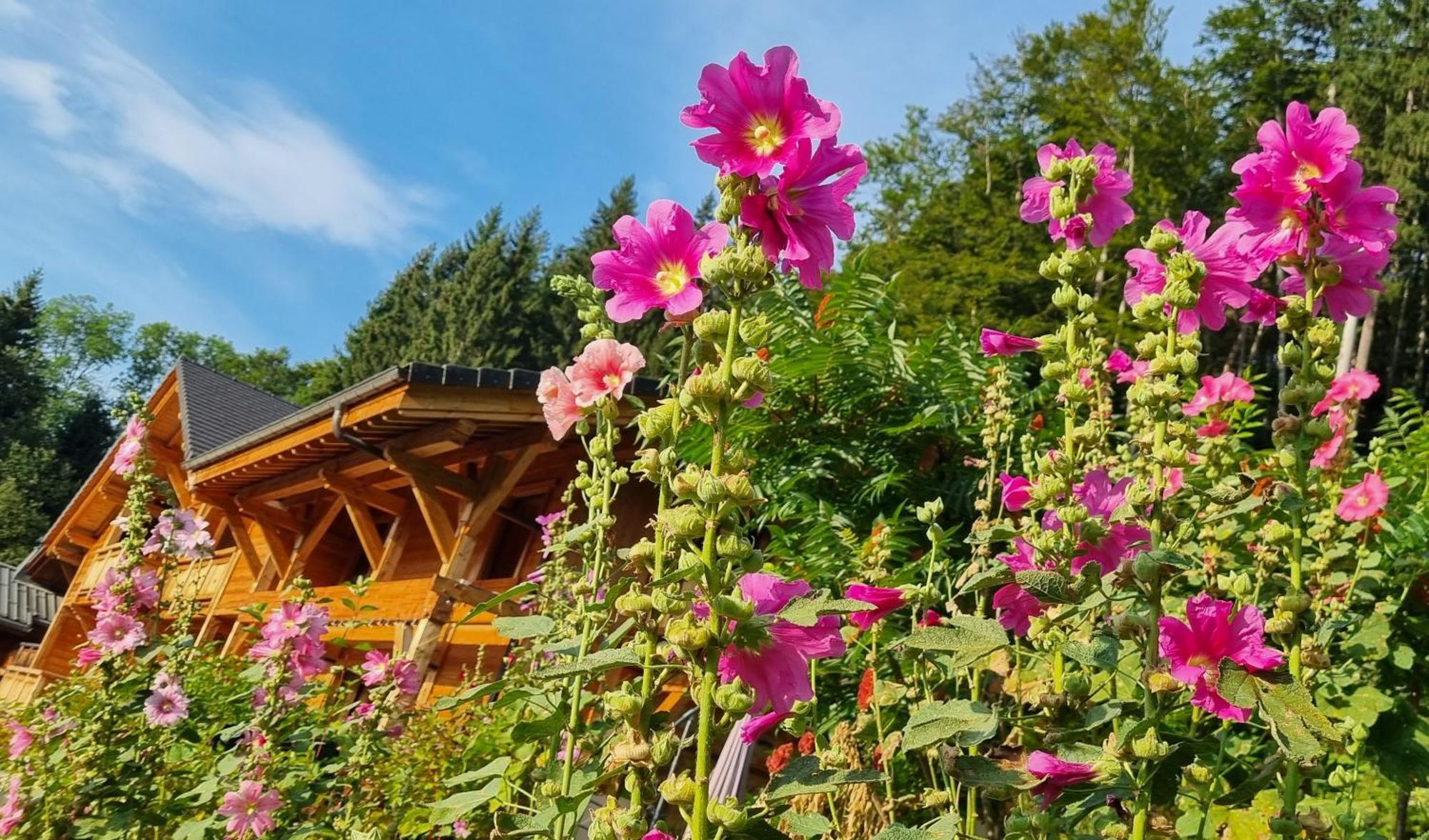 Chalet Arpitan - Les Carroz - Grand Massif Buitenkant foto